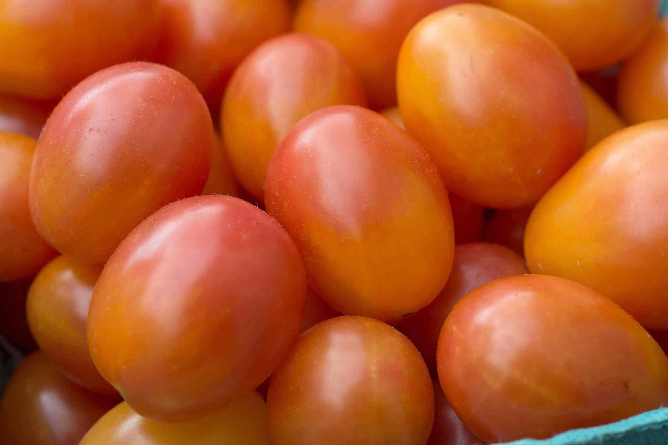 Twelve Generations for One Tomato: How the Produce Aisle Got Honeycrisp-ified